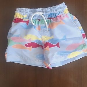 The Beaufort Bonnet swim trunks